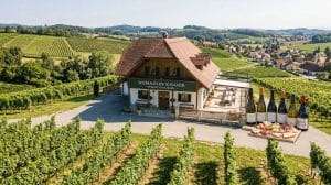 Symbolbild - ( KI Erstellung ) - Auswirkungen auf die Region, Wein -Wirtschaft und Beteiligungen beachten - Update nach Gläuberversammlung - NEWS